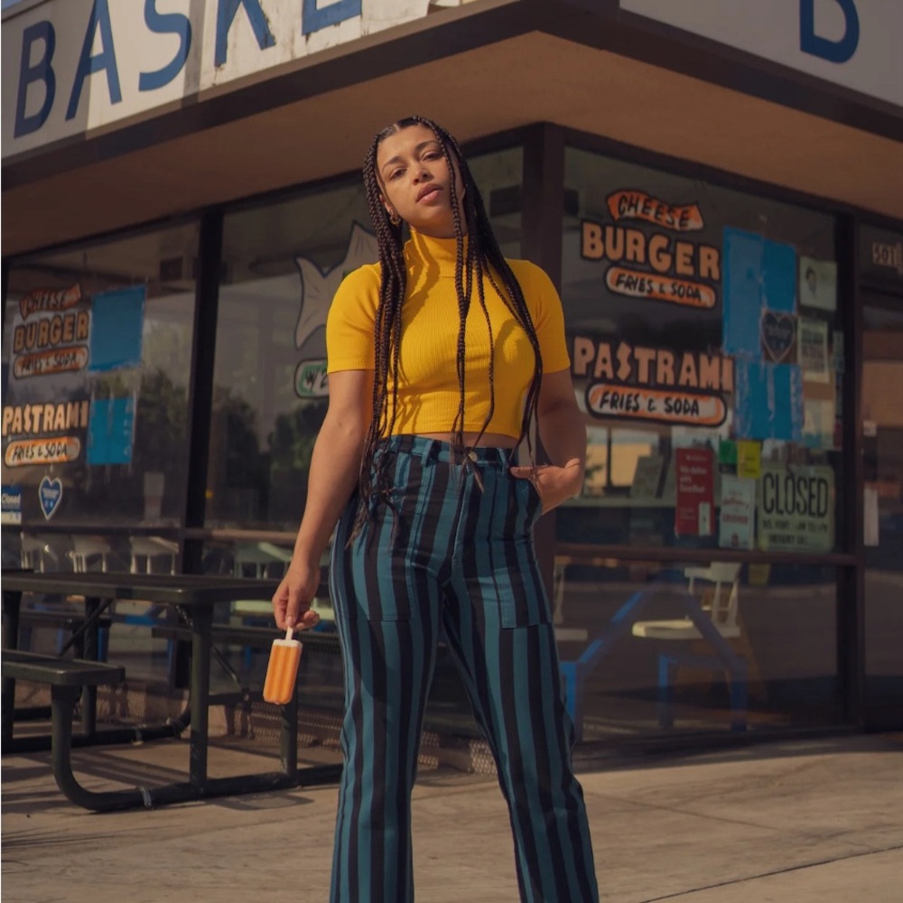 Big Bud Press striped work pants 💚🖤